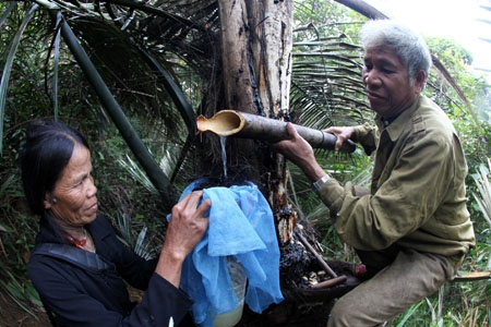 đặc sản daklak